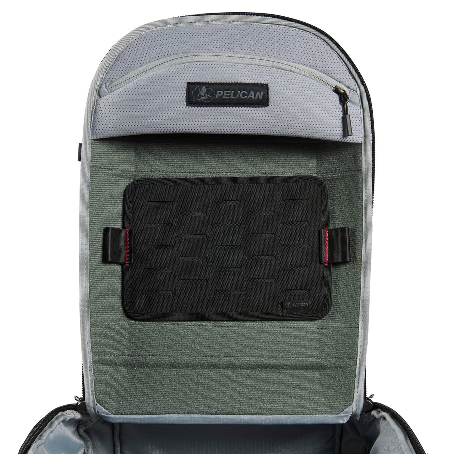 REMOVABLE P.A.L.S. PANEL