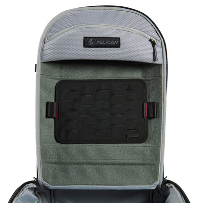 REMOVABLE P.A.L.S. PANEL