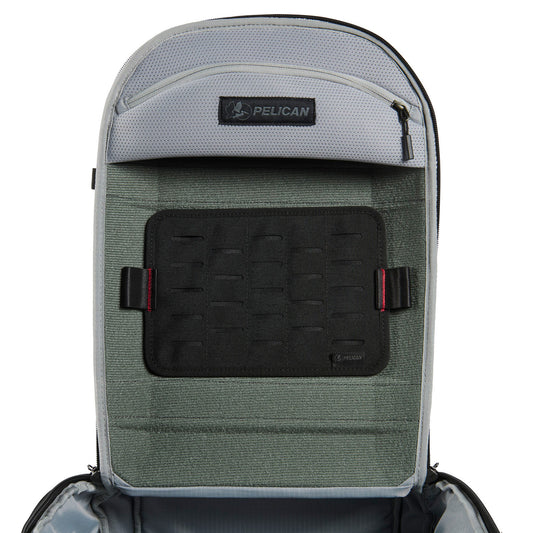 REMOVABLE P.A.L.S. PANEL