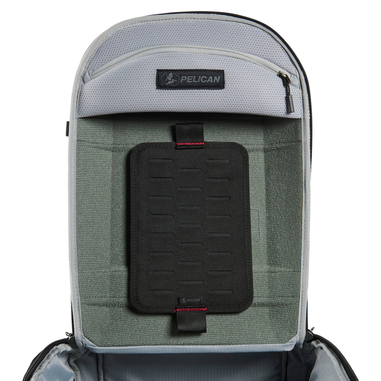 REMOVABLE P.A.L.S. PANEL